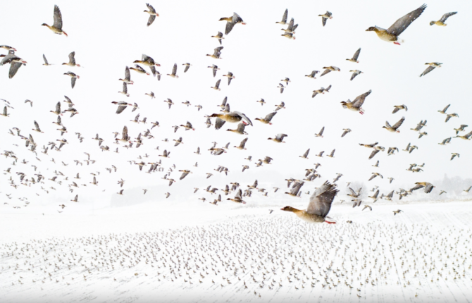 Winners of the 2021 Drone Photo Awards