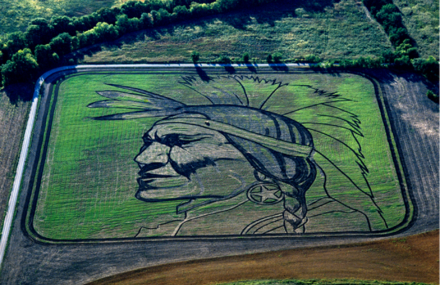 Beautiful Land-Art Seen from Above