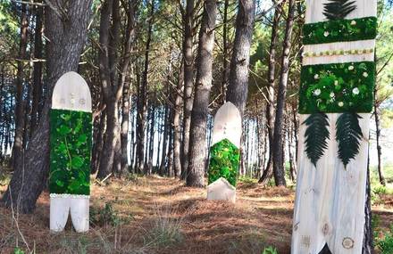 Plant Creations Inspired by Surf and Skate