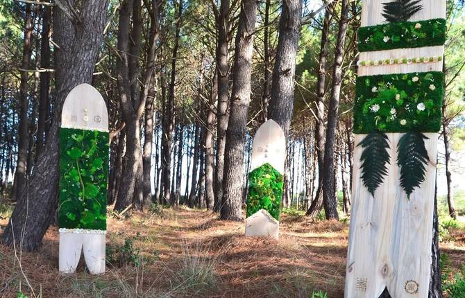 Plant Creations Inspired by Surf and Skate