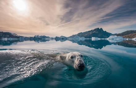 100 Photographs Raise Awareness on Environmental Protection