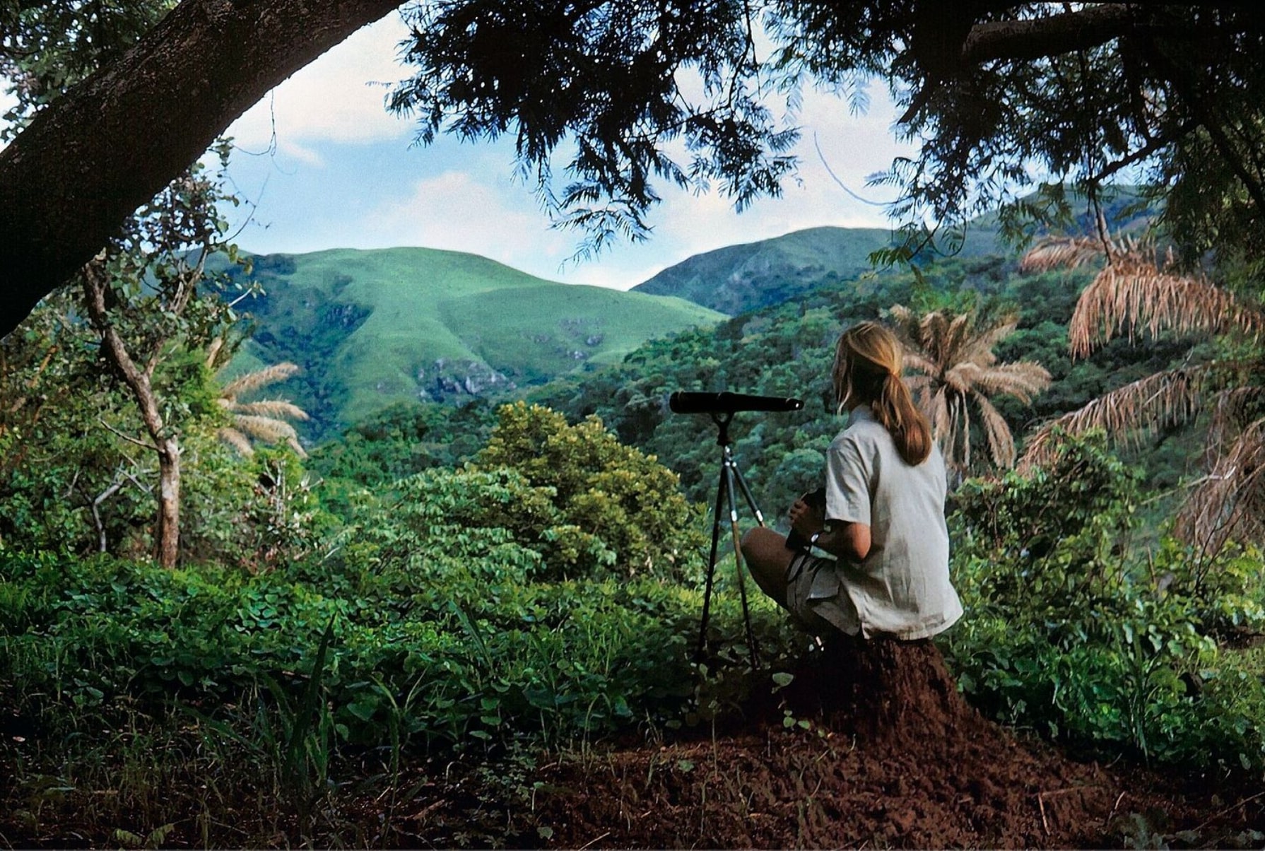 VT5 _ ©Jane Goodall, Self Portrait