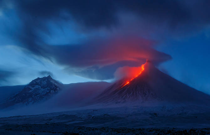 Discover the Winners of the Nature Photographer of the Year