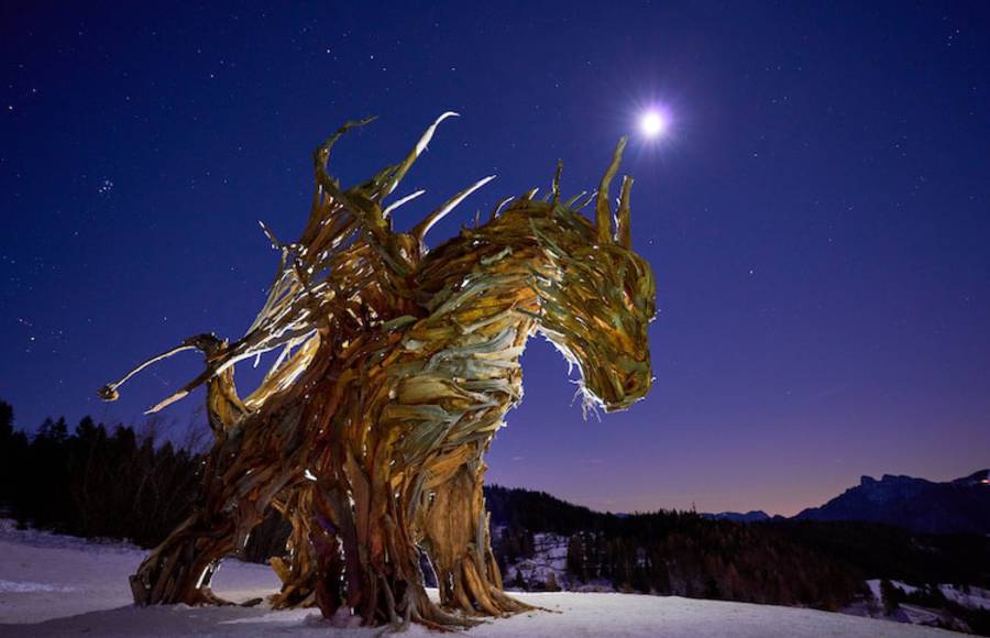 Sculptor Creates Wooden Dragon from Storm-Destroyed Trees