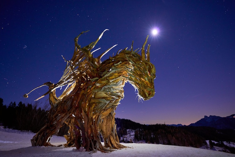 Europe's biggest wooden dragon - Trentino Cultura