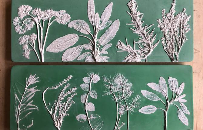 The Plant Moulds of Rachel Dein