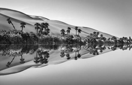 Sebastião Salgado : an Exhibition about the Fragility of Water