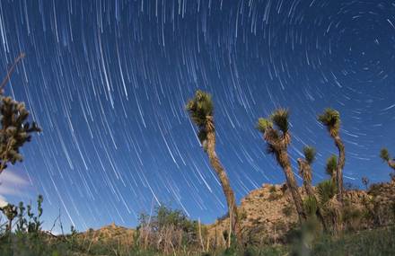 Timelapse Unveils the Sky Vault over the Joshua Tree National Park