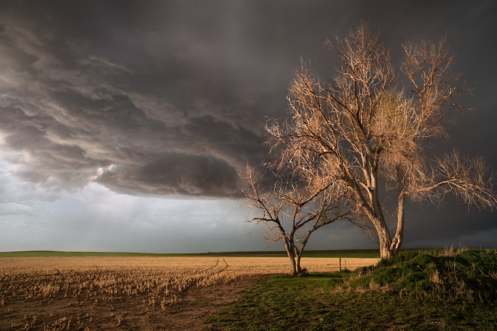 storm-photographer-of-the-year-amy-howard-7-1024x683