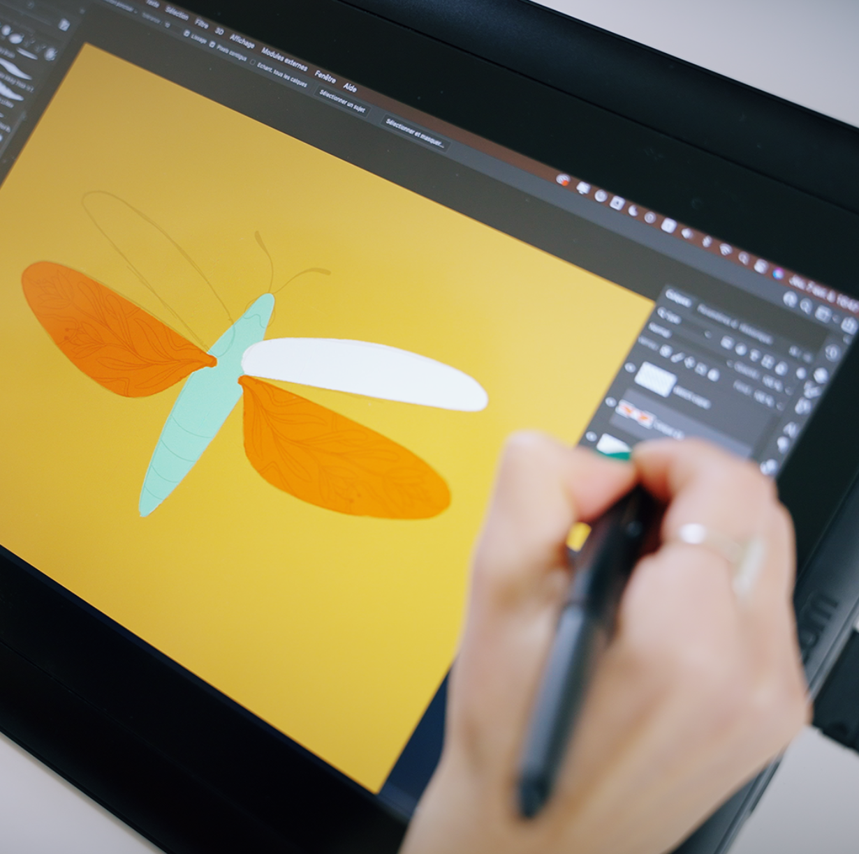 fubizadobe4