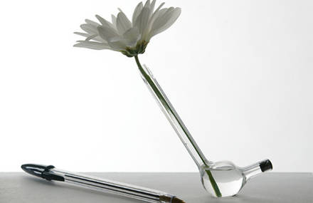 Bic Daisy Vase