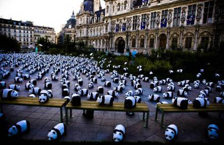 Pandas WWF