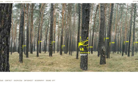 Sonja Mueller Portfolio